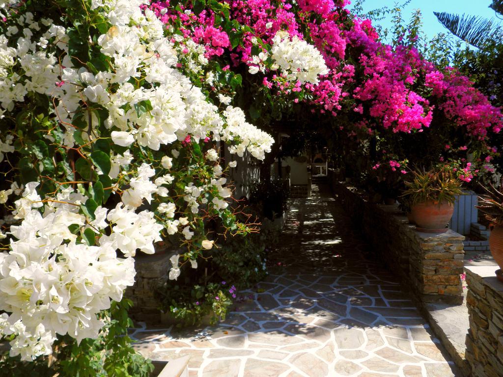 Dimitra Studios Kastraki  Bilik gambar