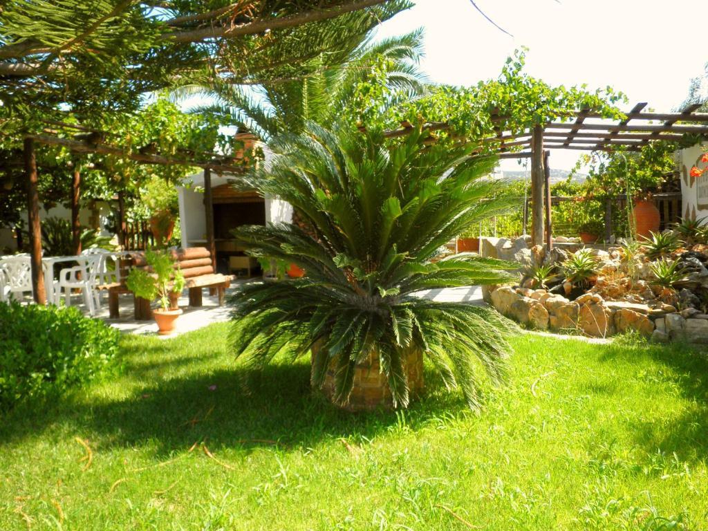 Dimitra Studios Kastraki  Luaran gambar