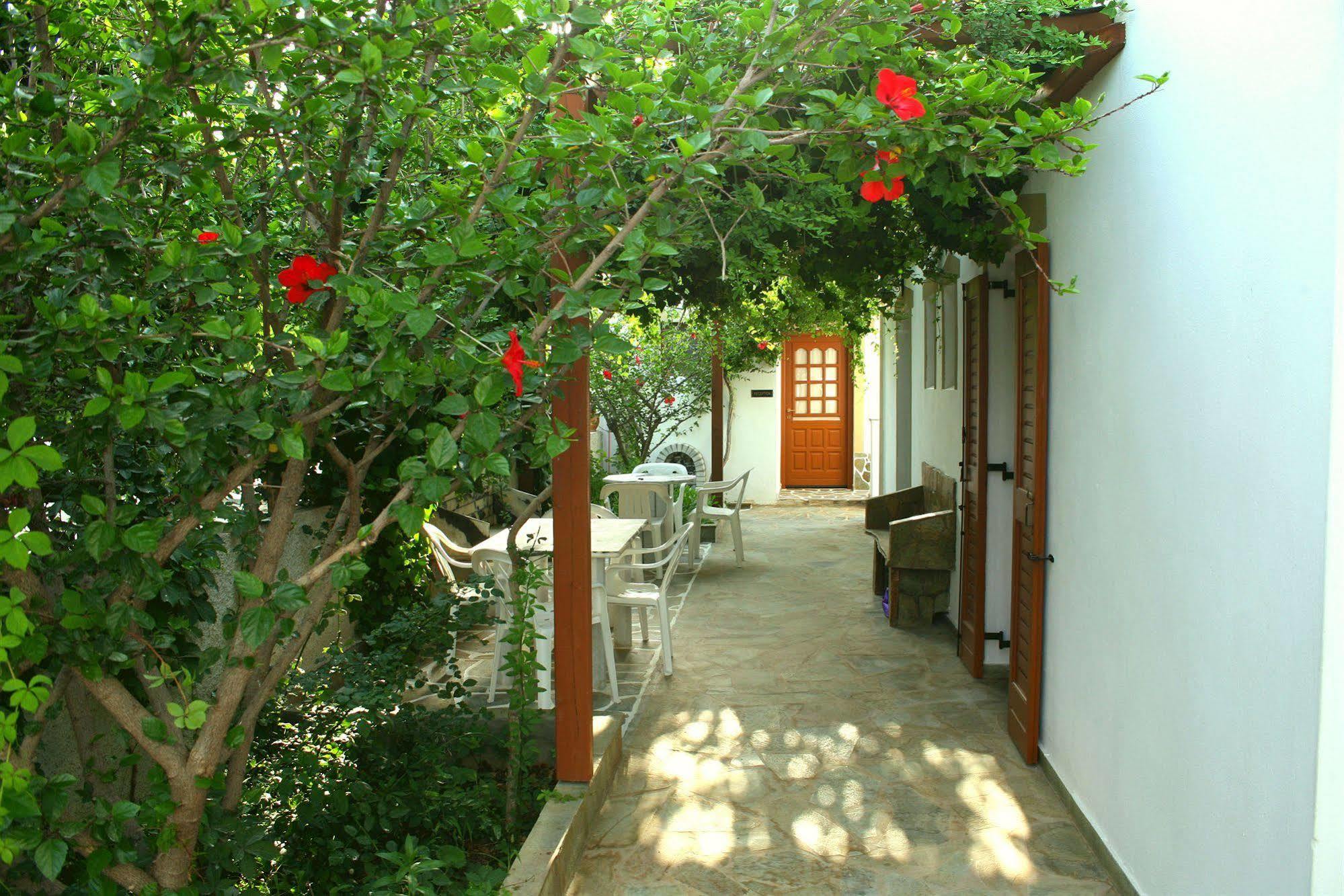 Dimitra Studios Kastraki  Luaran gambar